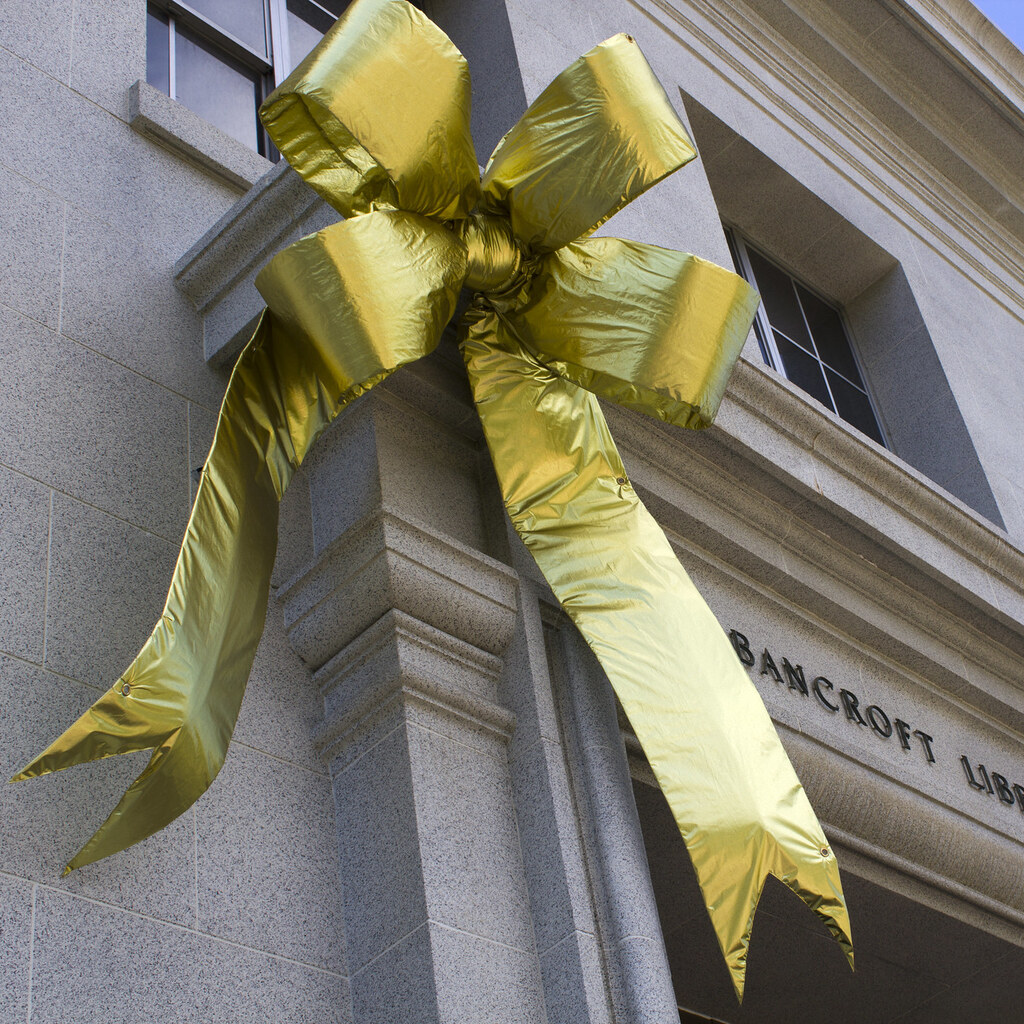 Photo of a bow