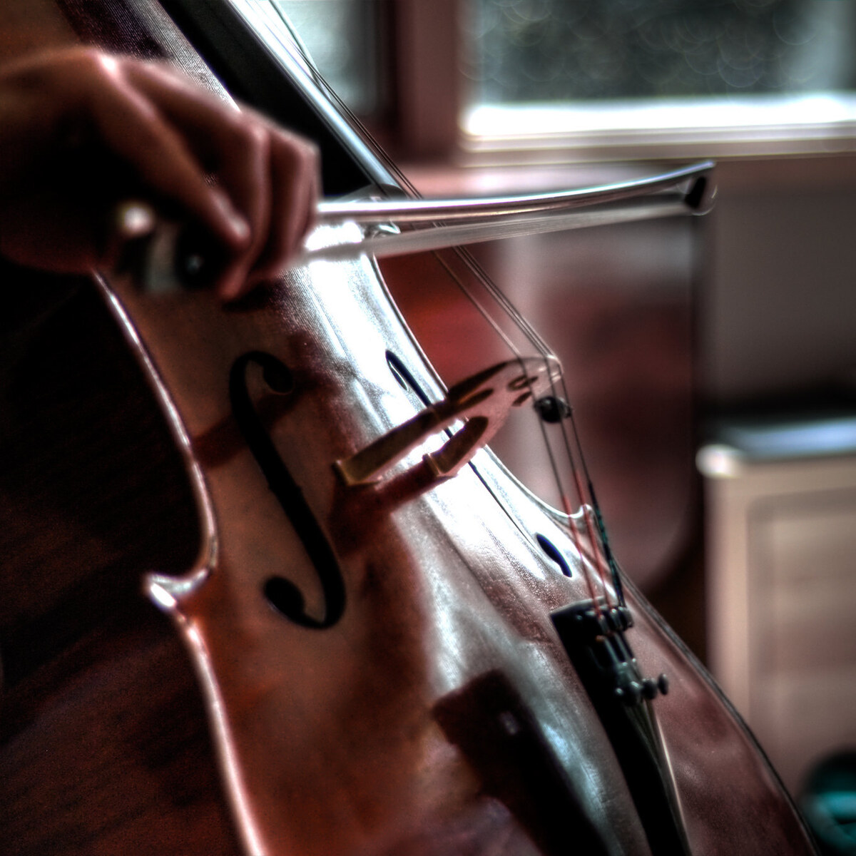 Photo of a cello player