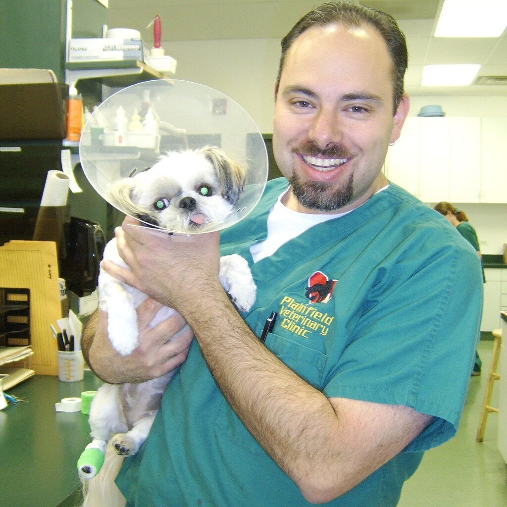 Photo of a vet holding a dog