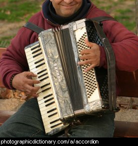 Photo of a man playing an accordian.
