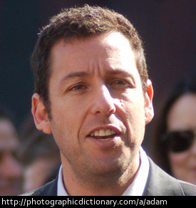 Actor Adam Sandler.