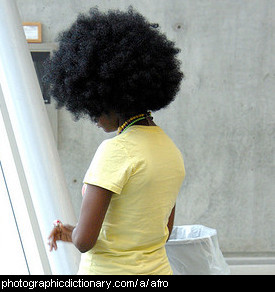 Photo of a woman with an afro