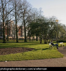 Photo of a park in the afternoon