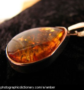 Photo of an amber pendant
