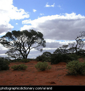 Photo of an arid landscape
