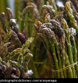 Photo of asparagus spears