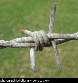 Photo of a single barb on barb wire.