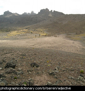 Photo of barren land