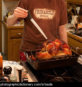 Photo of someone basting a turkey.