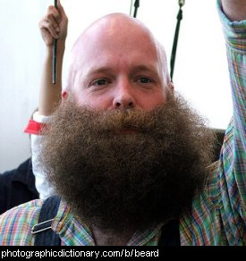 Photo of a man with a large beard