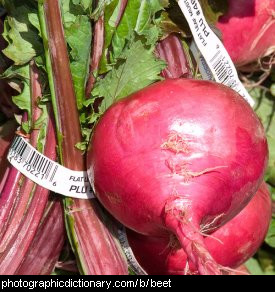 Photo of beet