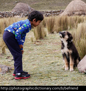 A boy befriending a dog