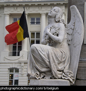Photo of the Belgian flag