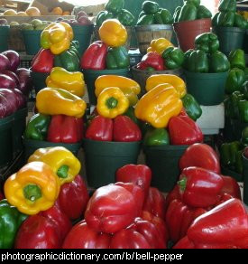 Photo of bell peppers