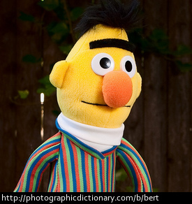 Photo of a Bert puppet