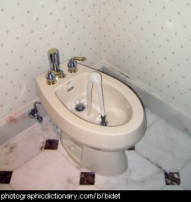 Photo of a bidet