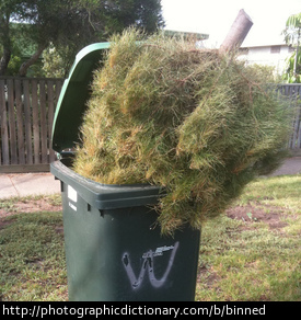 A christmas tree in a bin