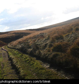 Photo of a bleak landscape