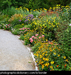 Photo of a garden border