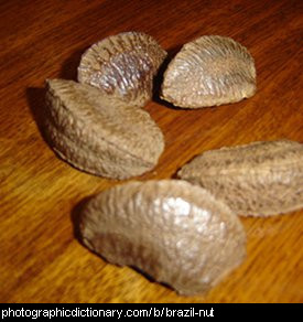 Photo of brazil nuts