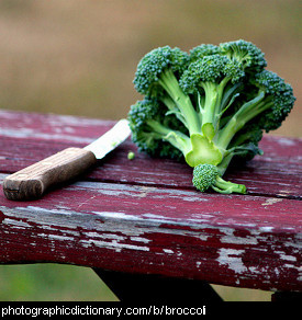 Photo of broccoli