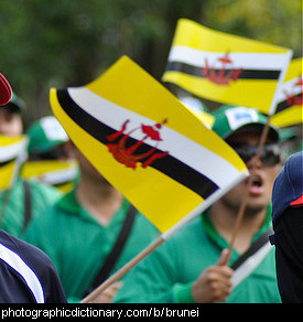 Photo of Brunei flags