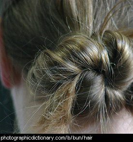 Photo of a woman with a bun in her hair