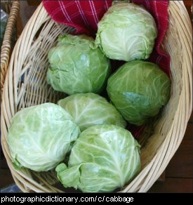 Photo of a basket of cabbages