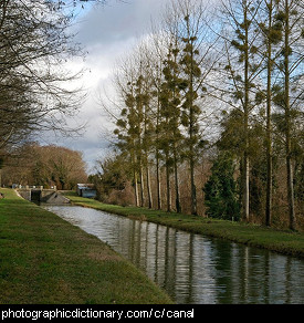 Photo of a canal