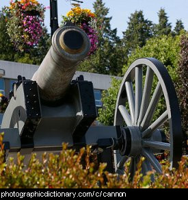 Photo of a cannon