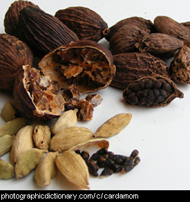 Photo of cardamom