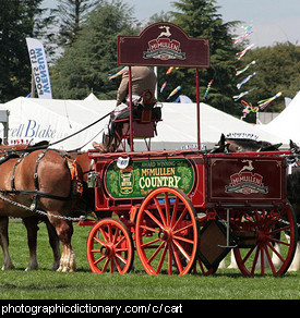 Photo of a cart