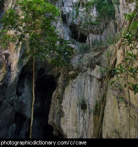 Photo of a cave