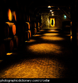 Photo of a cellar