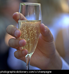 Photo of a glass of Champagne