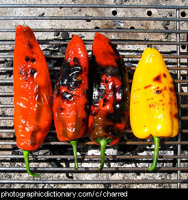 Photo of charred peppers