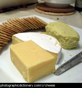 Photo of cheese
