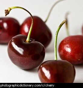 Photo of cherries