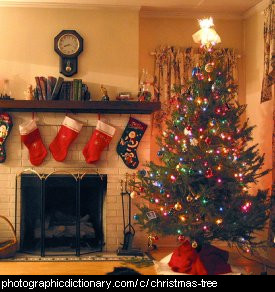 Photo of a Christmas tree