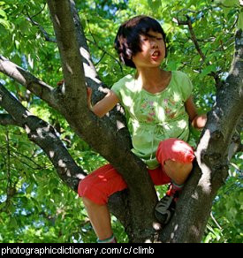 Photo of a child climbing a tree