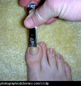 Photo of someone clipping their toenails