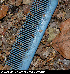 Photo of a comb