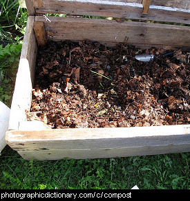 Photo of compost.