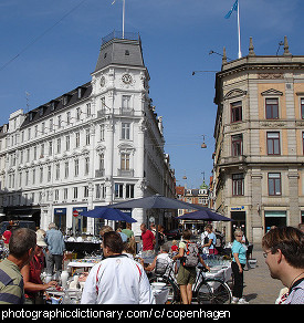 Photo of copenhagen