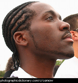 Photo of a man with cornrows