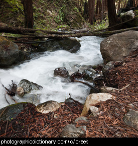 Photo of a creek