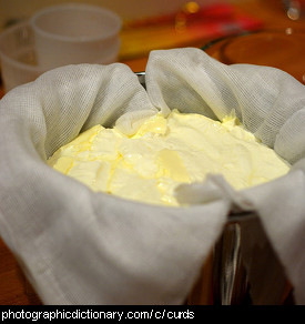 Photo of curds draining