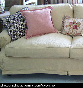 Photo of cushions on a lounge.