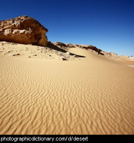 Photo of a desert sand dune