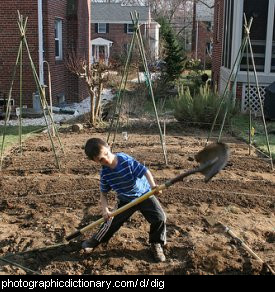 Photo of a boy digging
